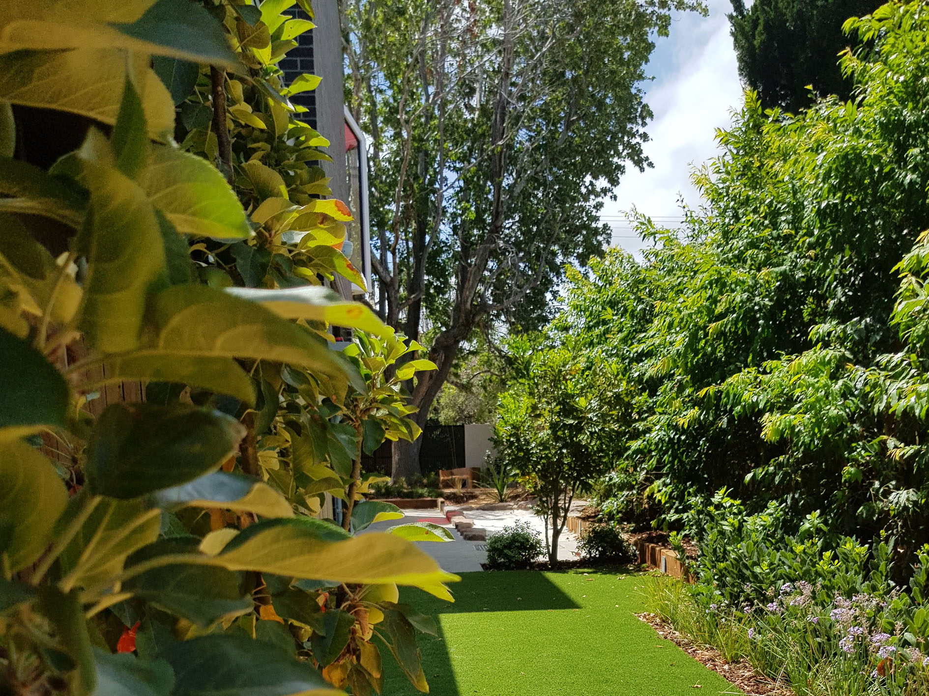 Botanical Traditions The Learning Sanctuary, Brighton. Narrow Space beautiful planting